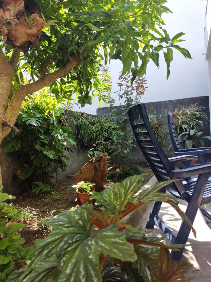 Casa Da Avo Rosa Apartment Sao Vicente  Luaran gambar