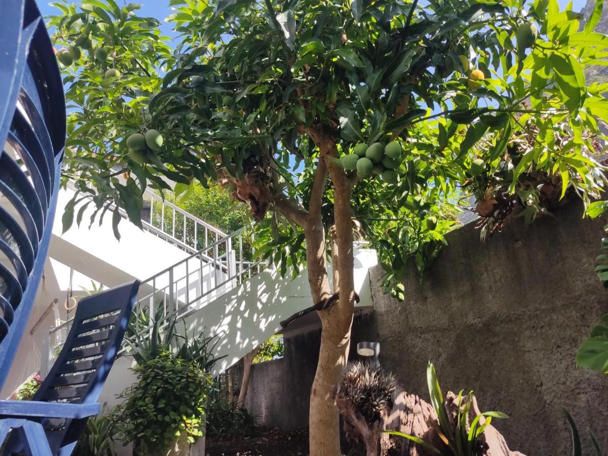Casa Da Avo Rosa Apartment Sao Vicente  Luaran gambar