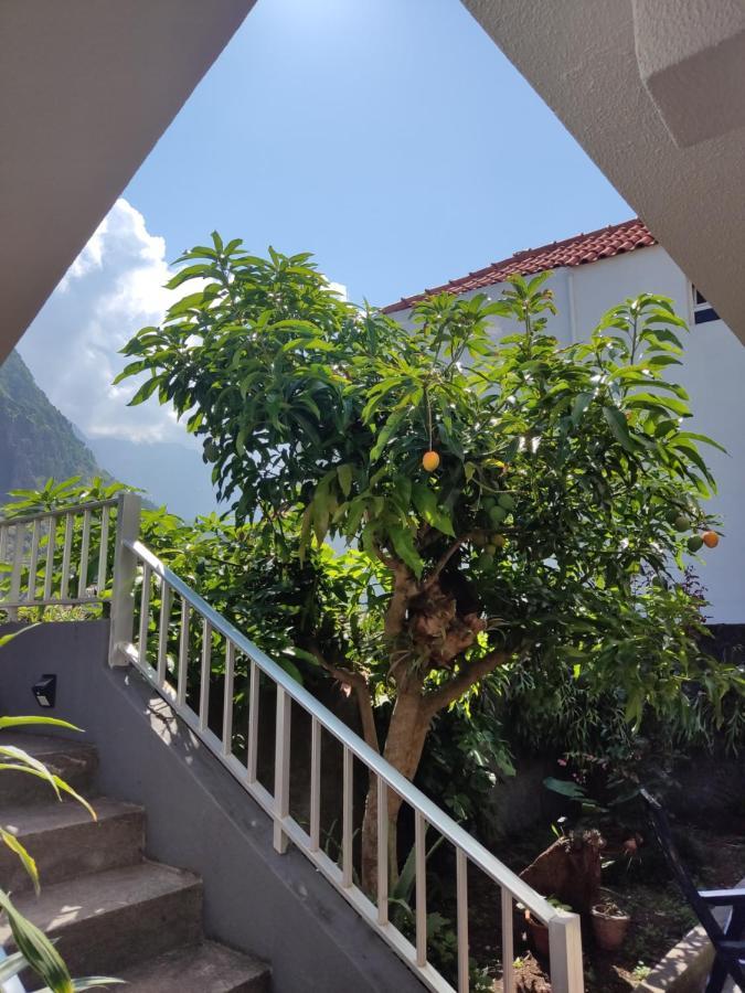 Casa Da Avo Rosa Apartment Sao Vicente  Luaran gambar